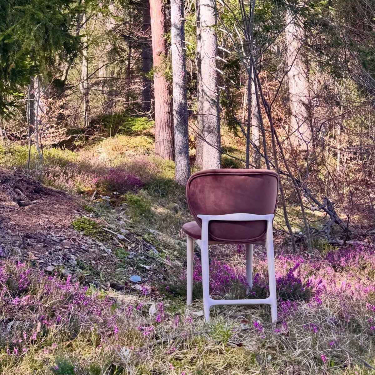 ETAUDORE Uetliberg Chair in Solid Oak Wood, photographed in the forest in Flims, Switzerland